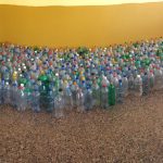 Botellas Plasticas reunidas