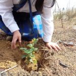 WhatsApp Image 2019 04 24 at 3.07.00 PM 1