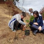 WhatsApp Image 2019 04 24 at 3.07.01 PM 1