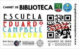 Modelo Carnet Biblioteca PAGINA WEB